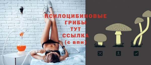 apvp Касимов