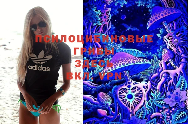 стафф Карталы