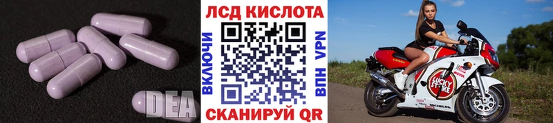 Купить закладки  Борзя  Лсд 25 экстази кислота 